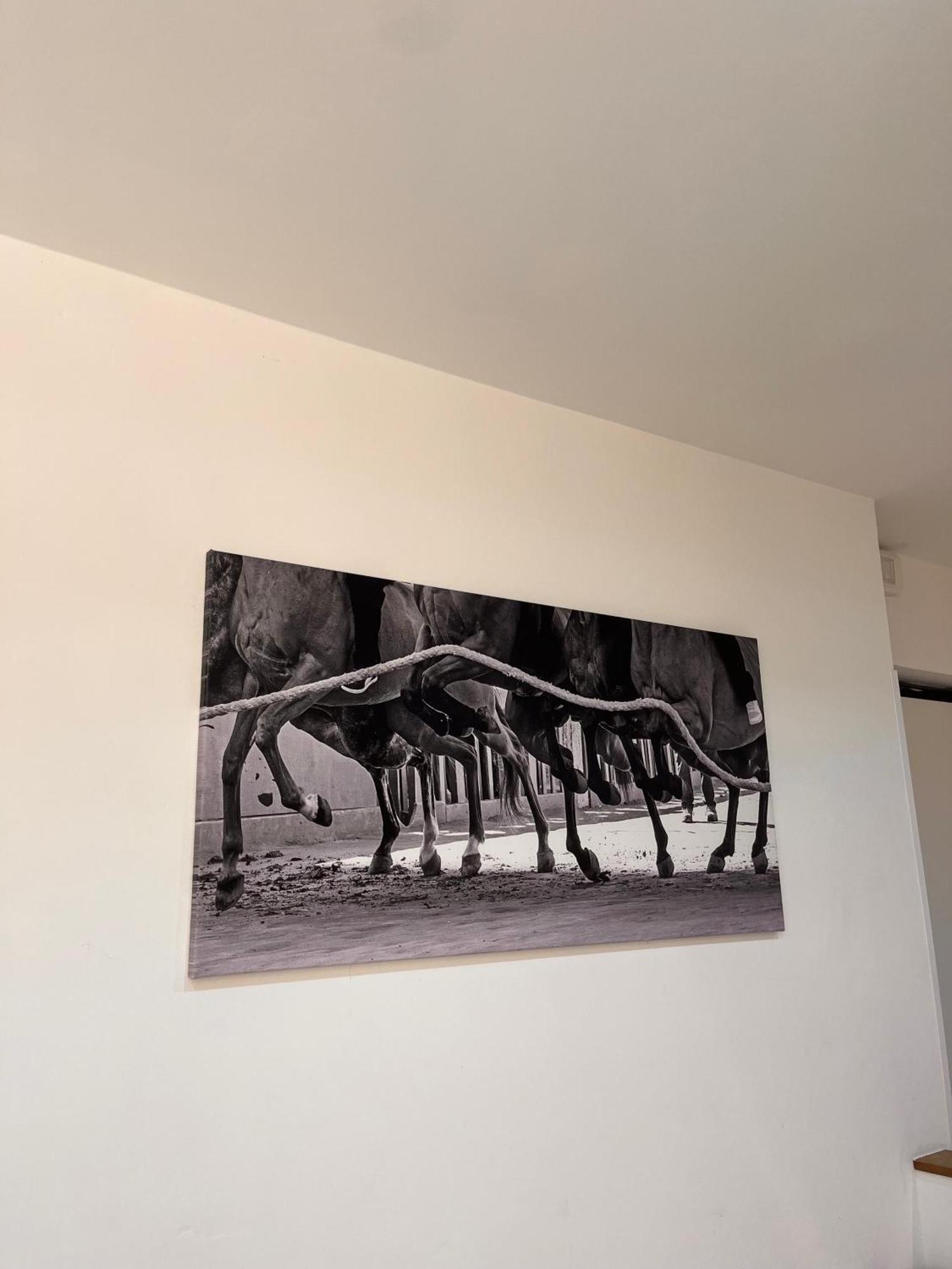 La Casa Del Palio Lejlighed Siena Eksteriør billede